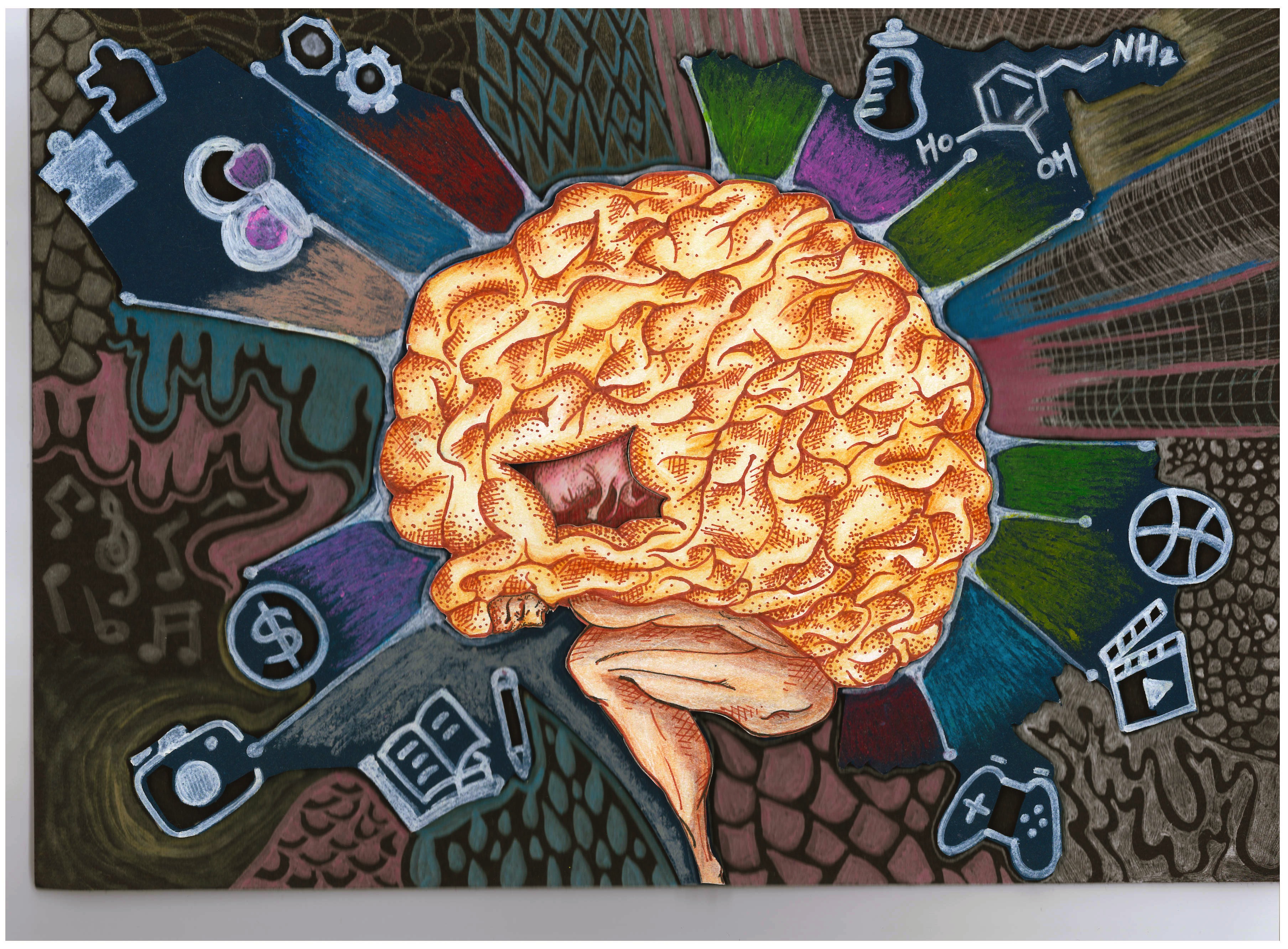 長庚生醫系轉考數位多媒體設計系心得分享~